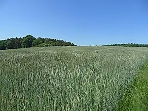 Traumschleife Mühlenbach Schluchten-Tour