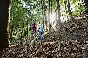 Traumschleife Erzgräberweg
