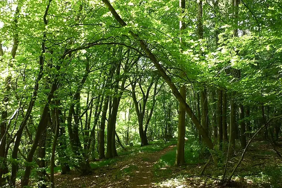 Traumschleife Der Bietzerberger – Impression 2