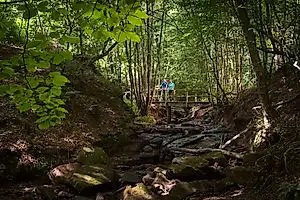 Traumschleife Mühlenbach Schluchten-Tour – Impression 2