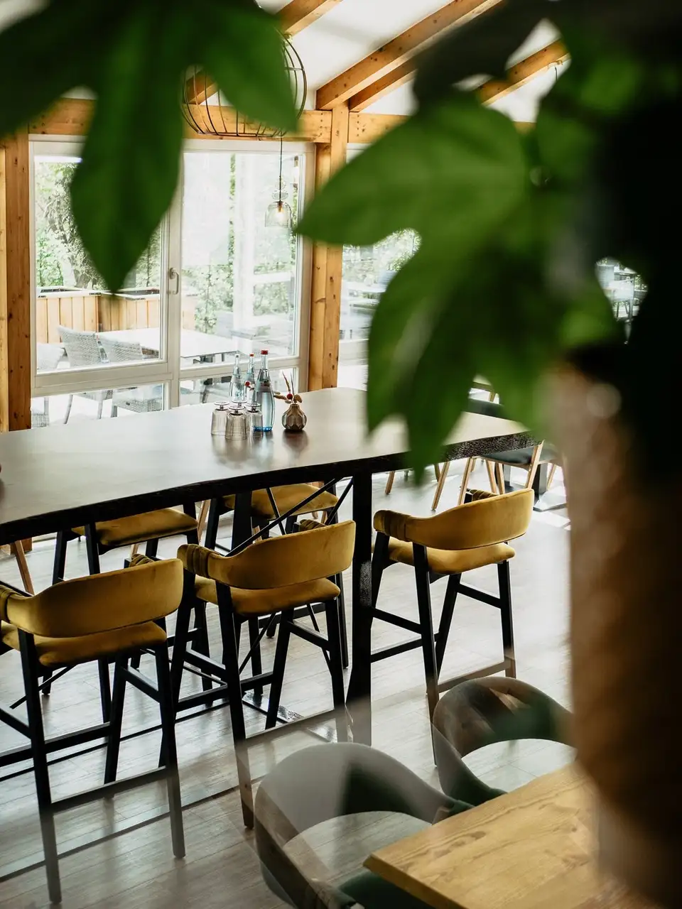 Hotel-Restaurant Botanico Finkenrech – Impression 3