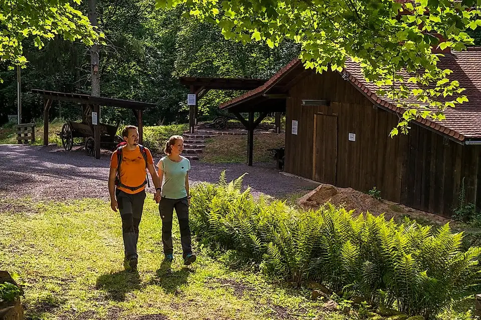 Traumschleife Litermont Sagenweg – Impression 2