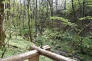 Traumschleife Hirn-Gallenberg-Tour – Impression 5