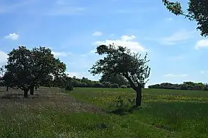 Traumschleife Hirn-Gallenberg-Tour – Impression 6