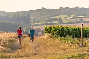 Traumschleife Hirn-Gallenberg-Tour