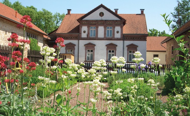Traumschleife Bach- und Burrenpfad