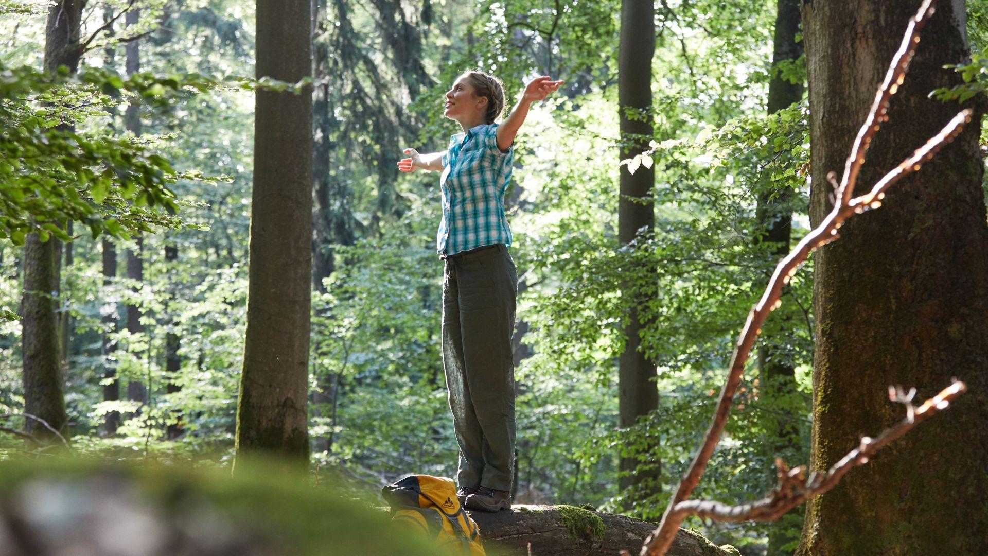 Wanderweg im Landkreis Saarlouis als Motiv für Wandern